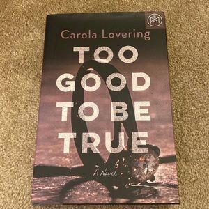 Too Good To Be True by Carola Lovering